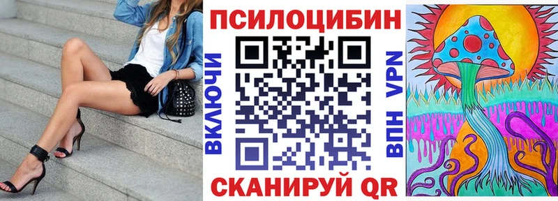 shop Telegram  Красновишерск  Псилоцибиновые грибы мицелий  где можно купить наркотик 
